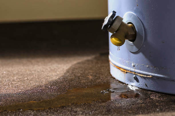 Best Basement water damage restoration  in New Albany, IN