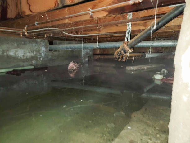 Water damage restoration experts in IN