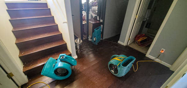 Best Mold removal after water damage  in New Albany, IN