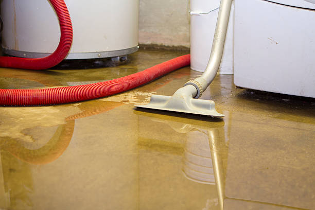 Best Fire Damage Restoration  in New Albany, IN