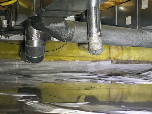 Best Sewage cleanup and water damage restoration  in New Albany, IN