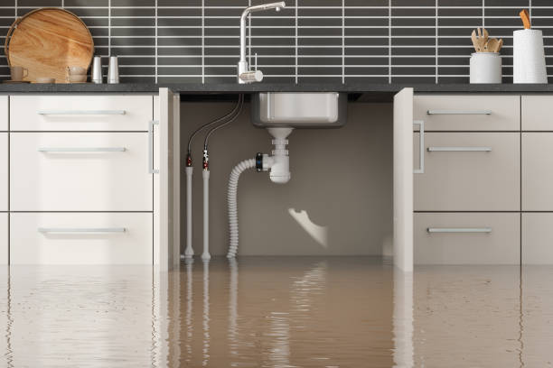 Best Commercial water damage restoration  in New Albany, IN
